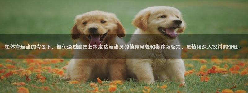 vsport体育官网下载平台假的吗是真的吗：在体育运