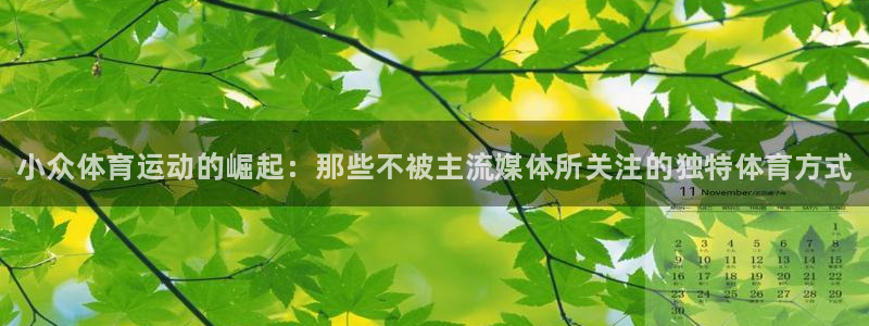 vsport体育官方正版app代理