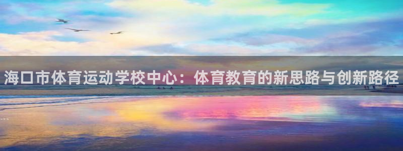 vsport体育官方正版app集团