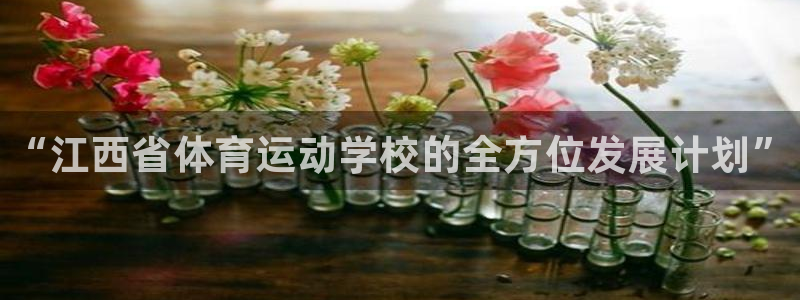 vsport体育官网下载平台注册流程视频：“江西省体