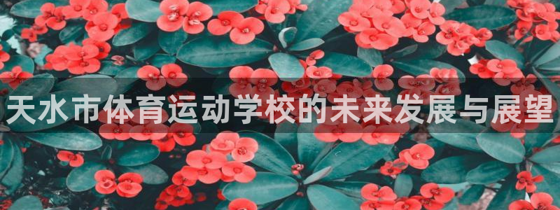 vsport体育官方正版app集团简介：天水市体育运