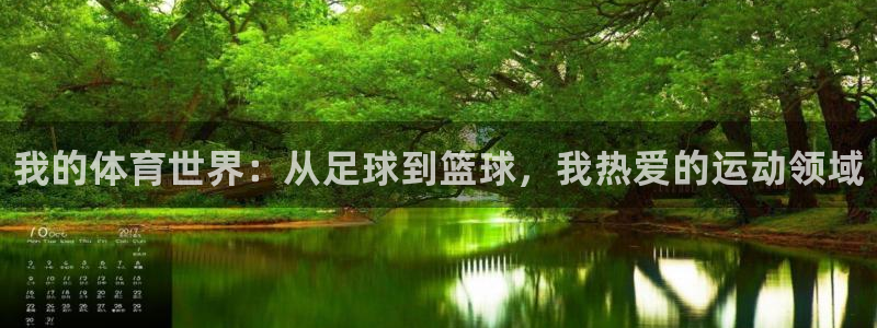 vsport体育官网下载招商：我的体育世界：从足球到