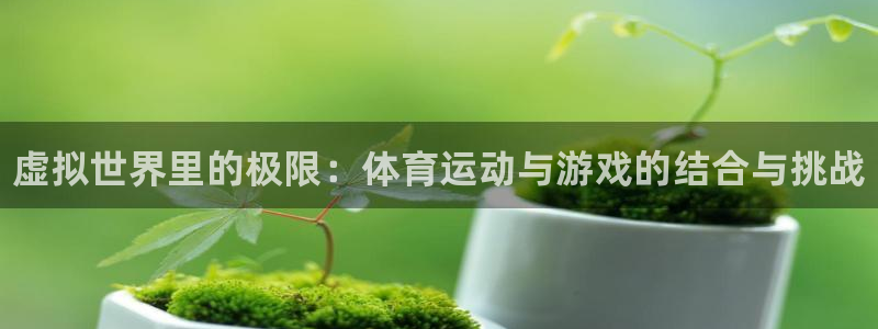 vsport体育官网下载招商电话是多少号码：虚拟世界