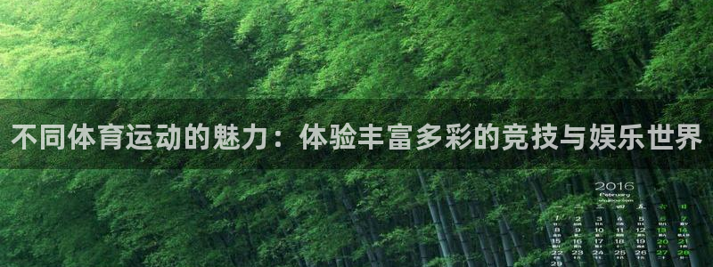 vsport体育官网下载是干嘛的公司：不同体育运动的