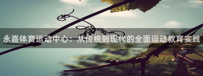 vsport体育官方正版app集团官网首页网址：永嘉体育运动