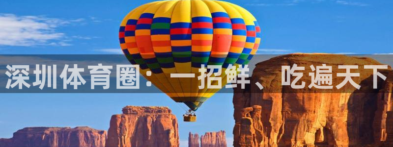 vsport体育官方正版app娱乐首页网站大全