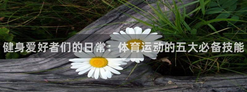 vsport体育官方正版app集团E.ON：健身爱好者们的日