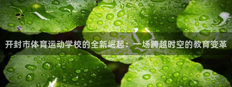 vsport体育官网下载平台假的吗是真的吗