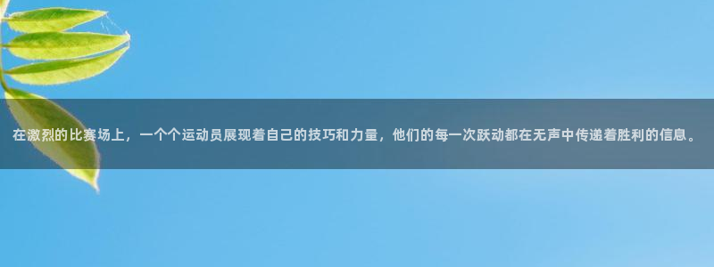 vsport体育官方正版app集团官网首页网址：在激烈的比赛