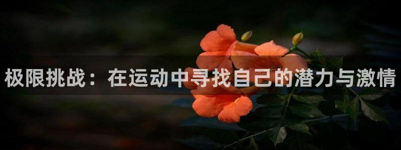 vsport体育官网下载平台假的吗是真的吗吗：极限挑战：在运