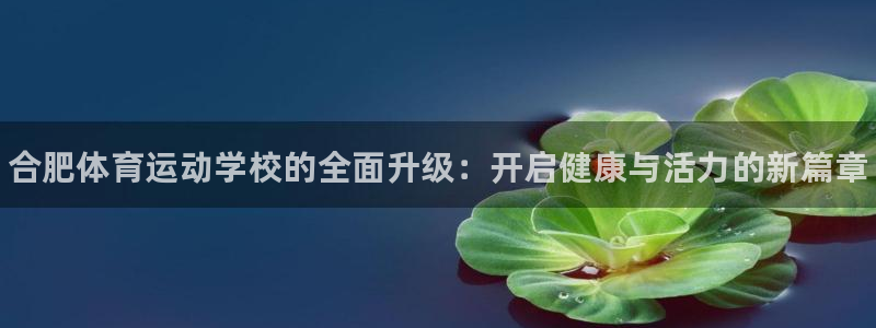 vsport体育官网下载娱乐：合肥体育运动学校的全面升级：开