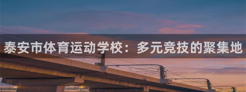 vsport体育官方正版app集团简介：泰安市体育运动学校：