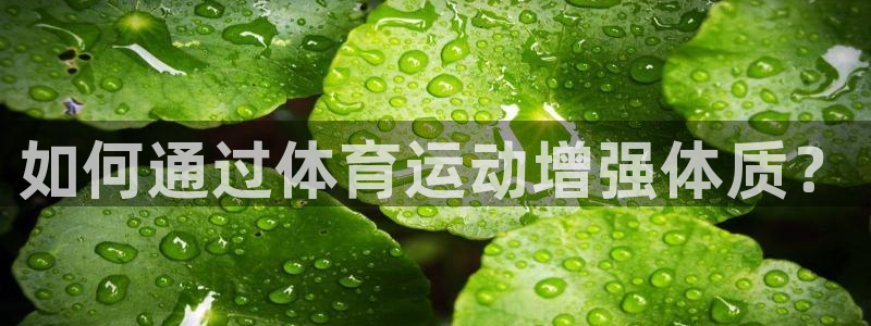 vsport体育官方正版app娱乐下载：如何通过体育