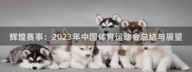 vsport体育官方正版app官方：辉煌赛事：202