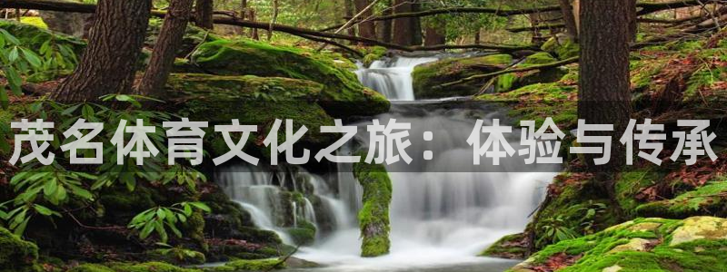 vsport体育官网下载招商电话号码查询是多少：茂名