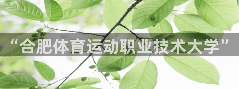 vsport体育官网下载招商电话号码查询：“合肥体育