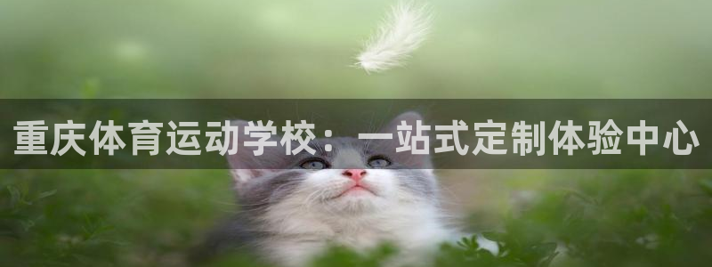 vsport体育官网下载平台注册流程图：重庆体育运动