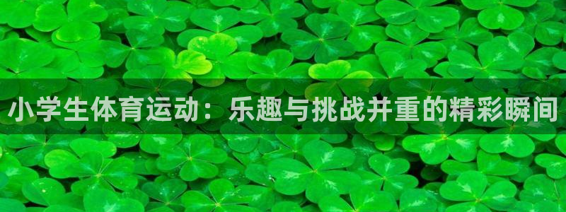 vsport体育官网下载平台注册流程视频：小学生体育