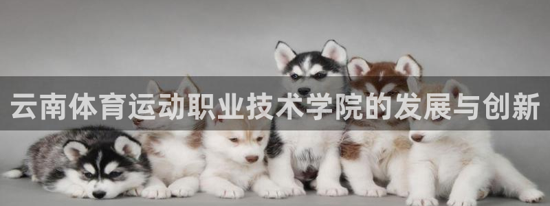 vsport体育官方集团官网