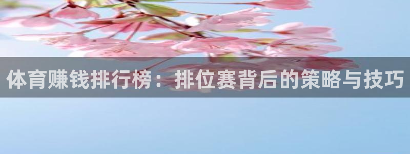 vsport体育官方集团官网