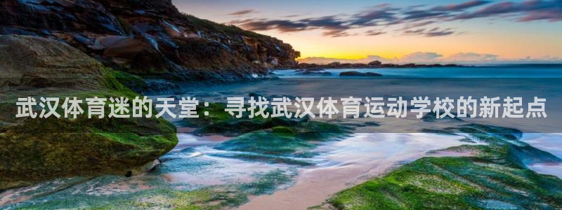 vsport体育官方正版app官网
