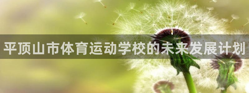 vsport体育官网下载平台注册流程视频：平顶山市体