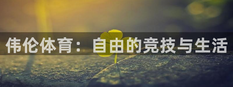vsport体育官方正版app娱乐40996：伟伦体育：自由