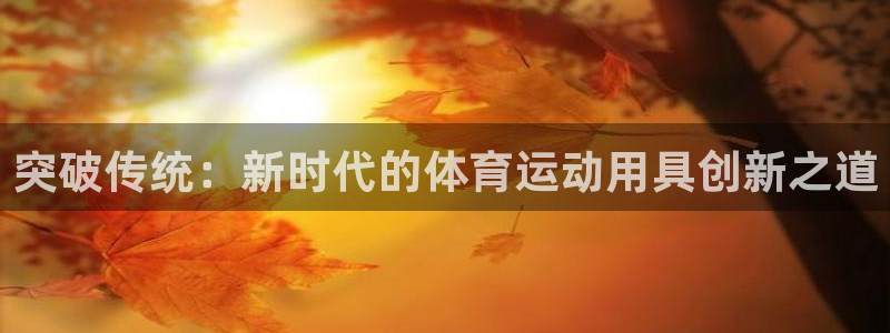 vsport体育官网下载平台APP：突破传统：新时代的体育运