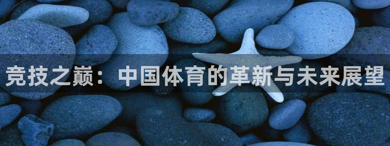 vsport体育官网下载平台注册要钱吗是真的吗：竞技之巅：中