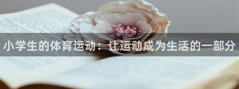 德国vsport体育官方正版app集团：小学生的体育运动：让