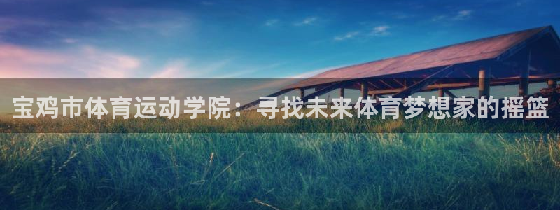 vsport体育官方正版app集团简介：宝鸡市体育运动学院：