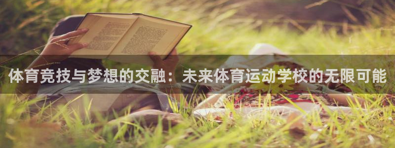 vsport体育官方正版app娱乐下载：体育竞技与梦想的交融