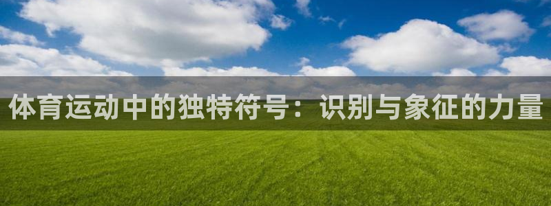 海南vsport体育官网下载发展怎么样：体育运动中的