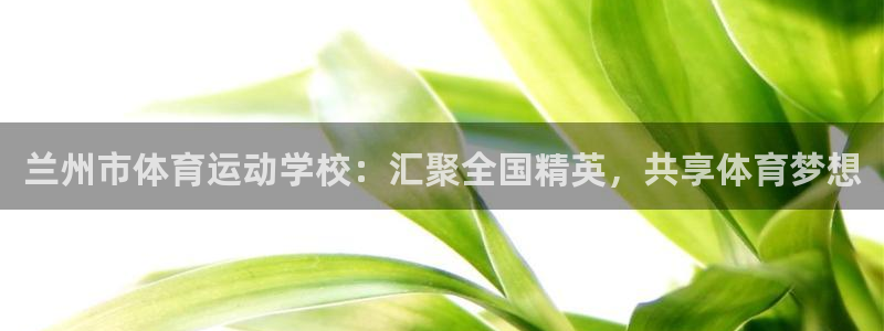 vsport体育官方正版app神州：兰州市体育运动学校：汇聚