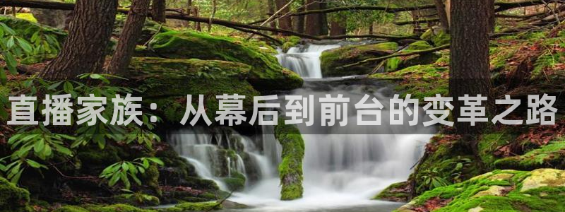 833直播免费体育直播：直播家族：从幕后到前台的变革之路