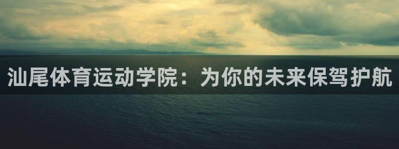 vsport体育平台app：汕尾体育
