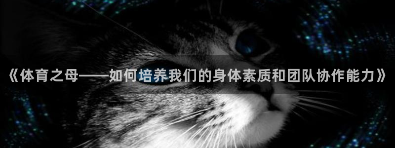 Vsport体育官方网站入口：《体育